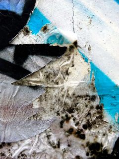 DSC01546